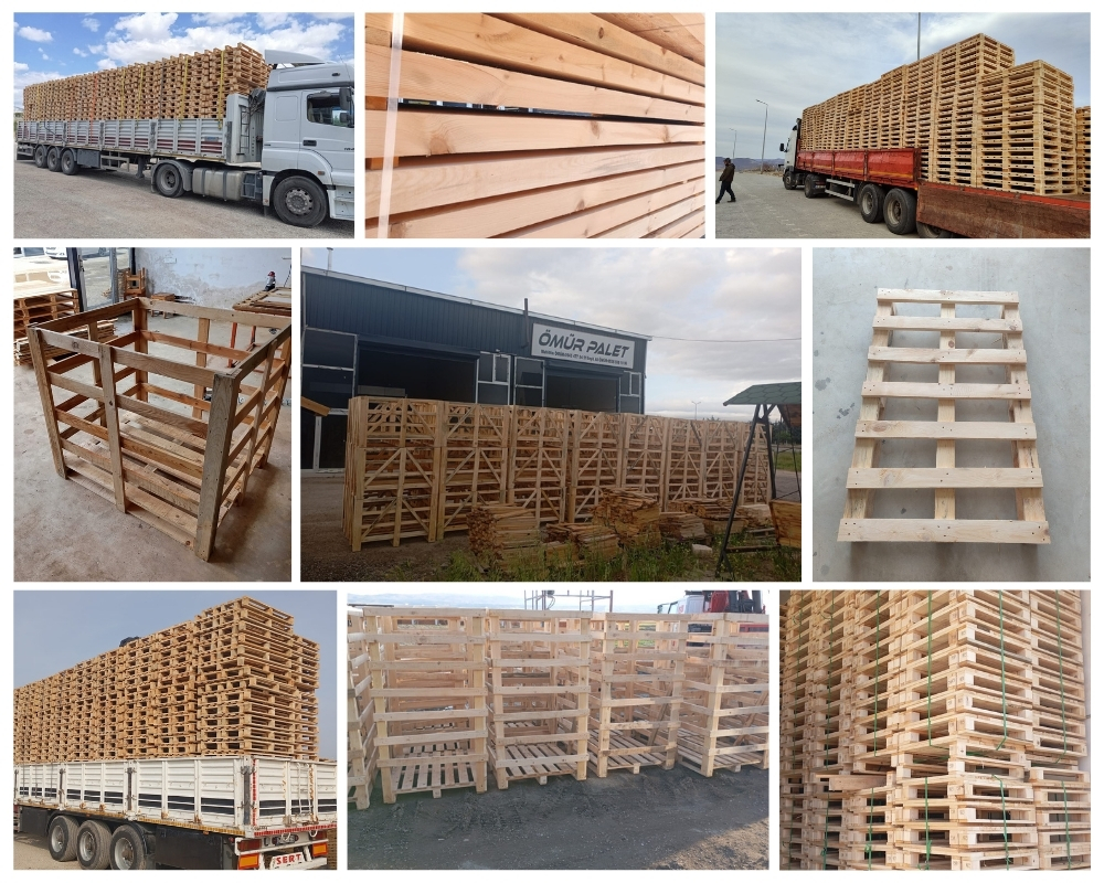 Lissone Palette Europe, Acheter des palettes en gros